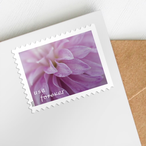 Dahlias Stamps Forever 78c | Multiple Stamp Designs