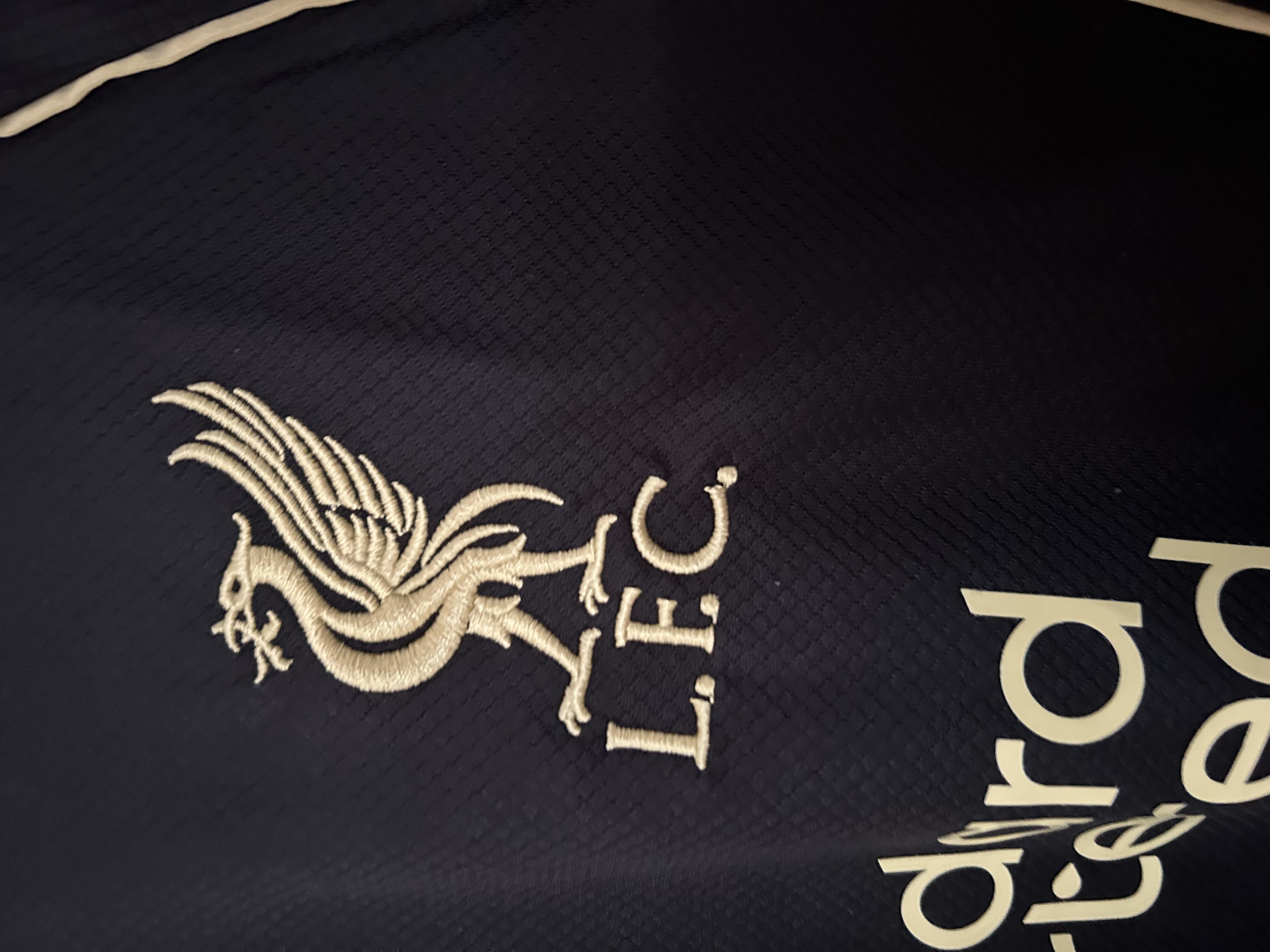 2025/2026 Liverpool FC Black and Gold Jersey (Fans)