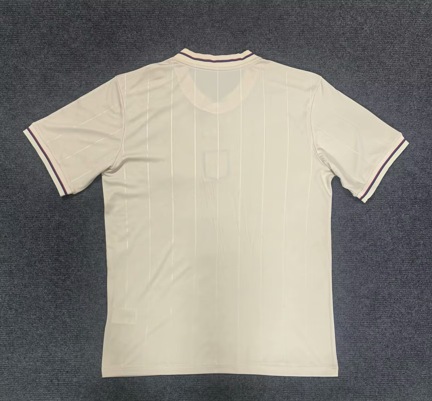 2025/2026 Lyon commemorative edition Football Shirt (Fan Edition)