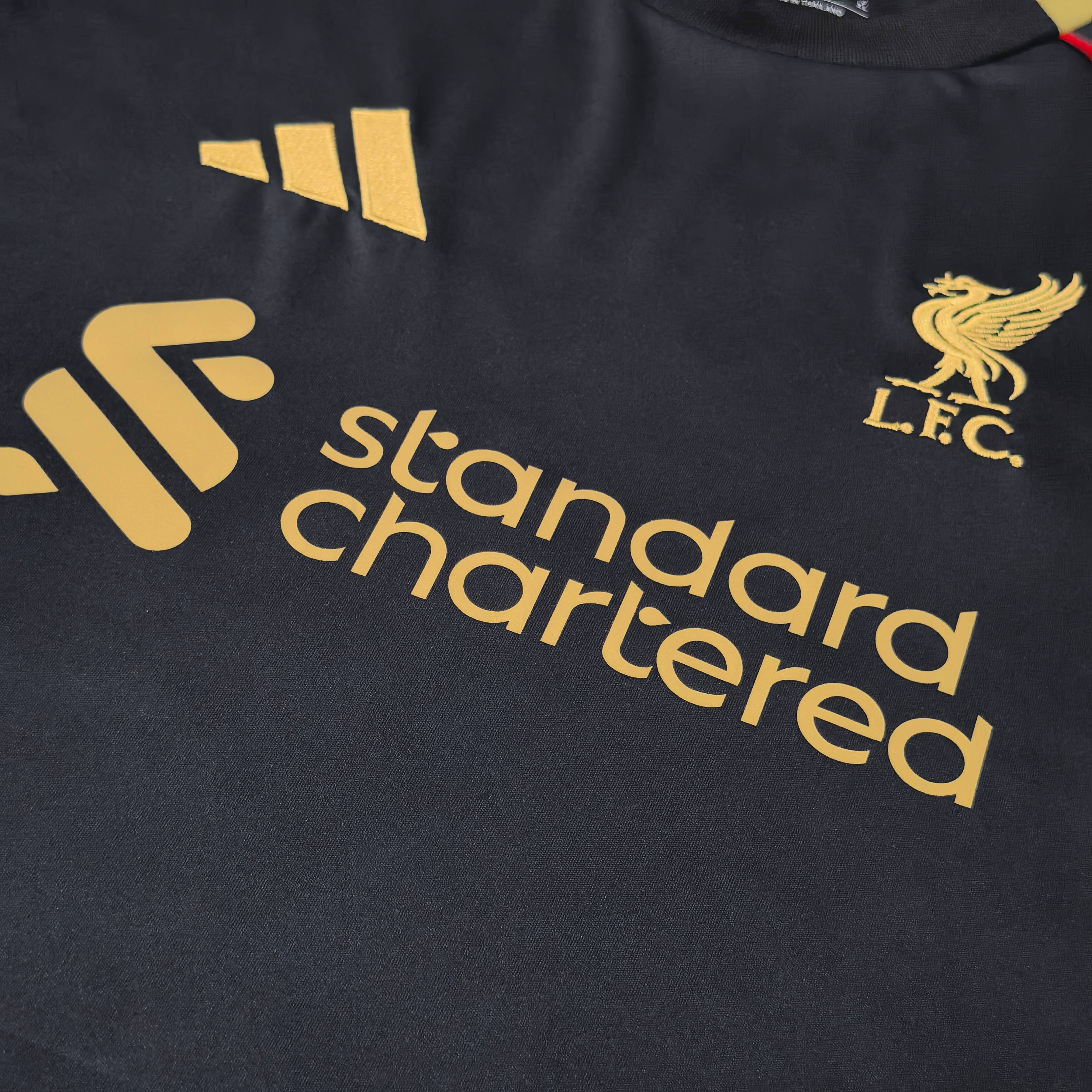 2025/2026 Liverpool Black Special Edition Football Jersey (Fans)