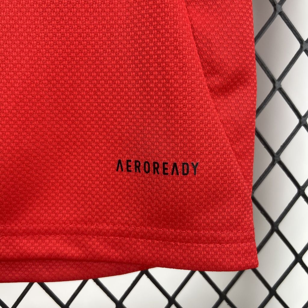 2025/2026 Benfica Football Club Home Football Shirt（Kids Kit socks）