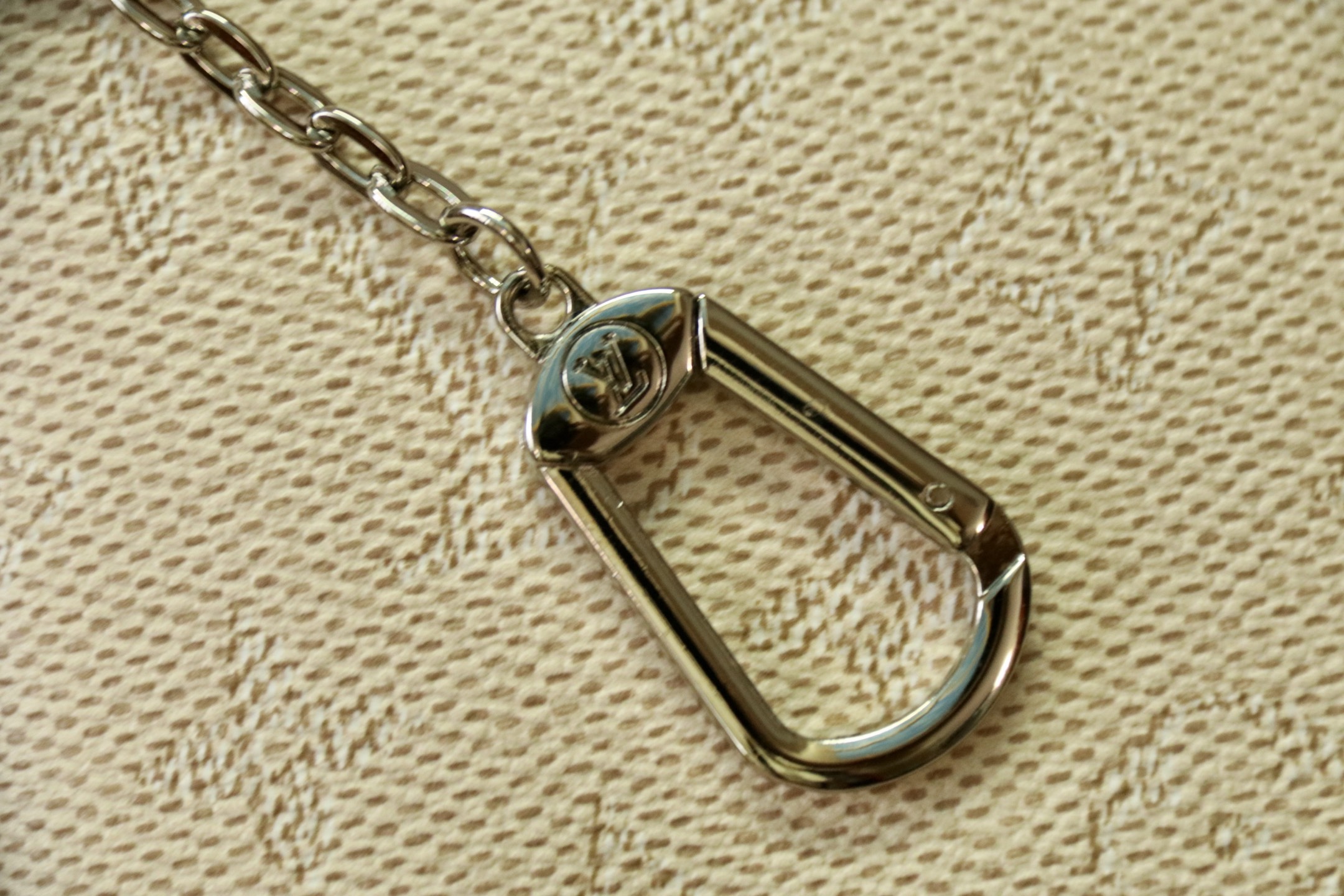 Louis Vuitton Pochette Accessoires Bag