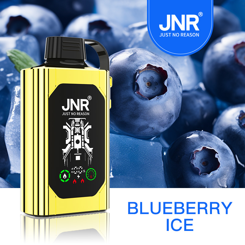 JNR Shisha Hookah Box 30K Disposable Vape