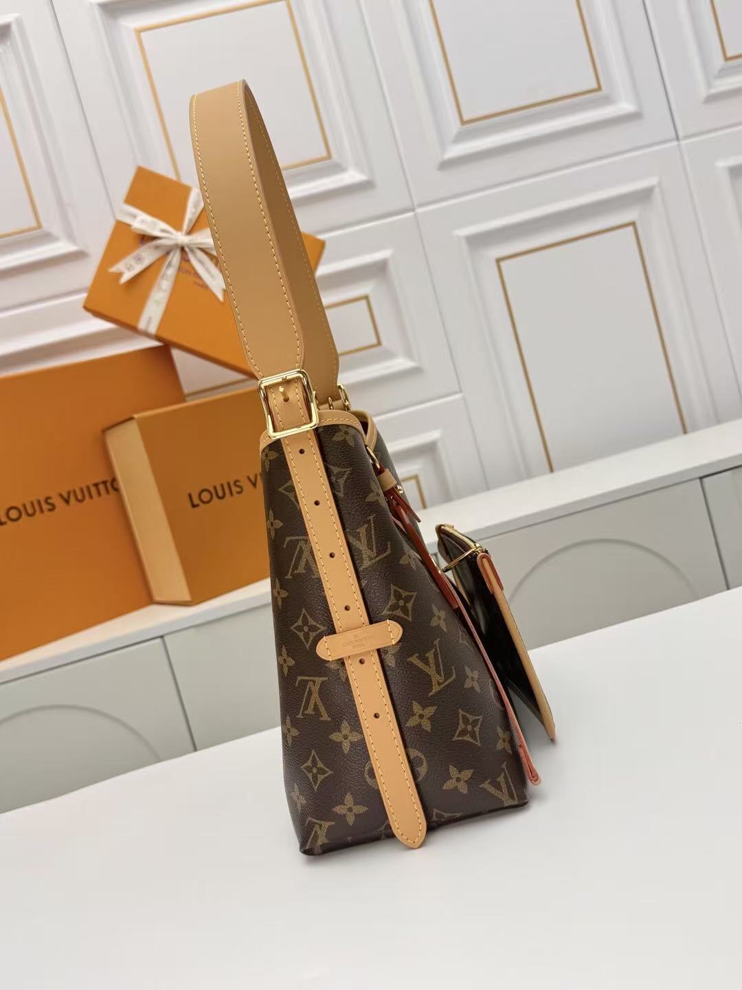 Louis Vuitton CarryAll Bag