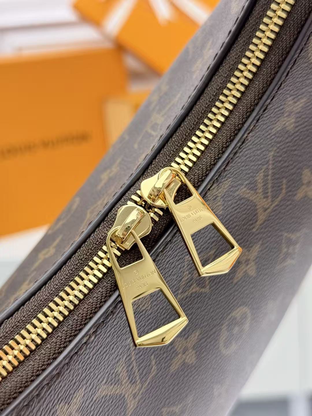 Louis Vuitton Odeon Bag
