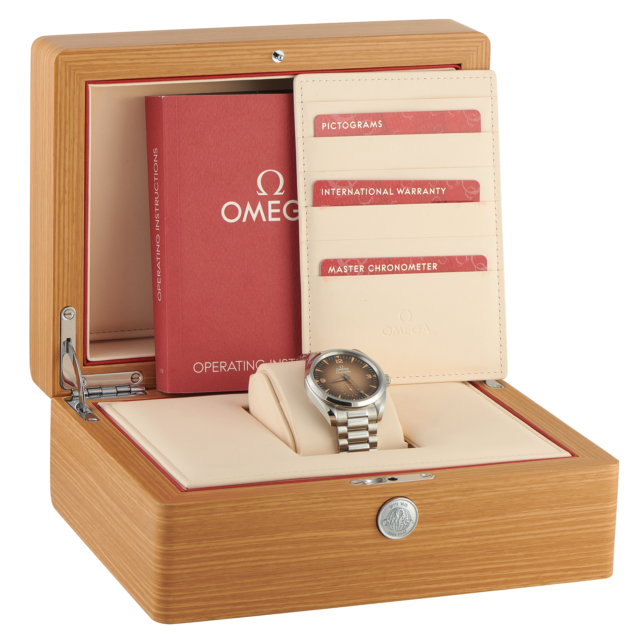 OmegaSeamaster Railmaster Steel Watch 235.10.38.20.13.001