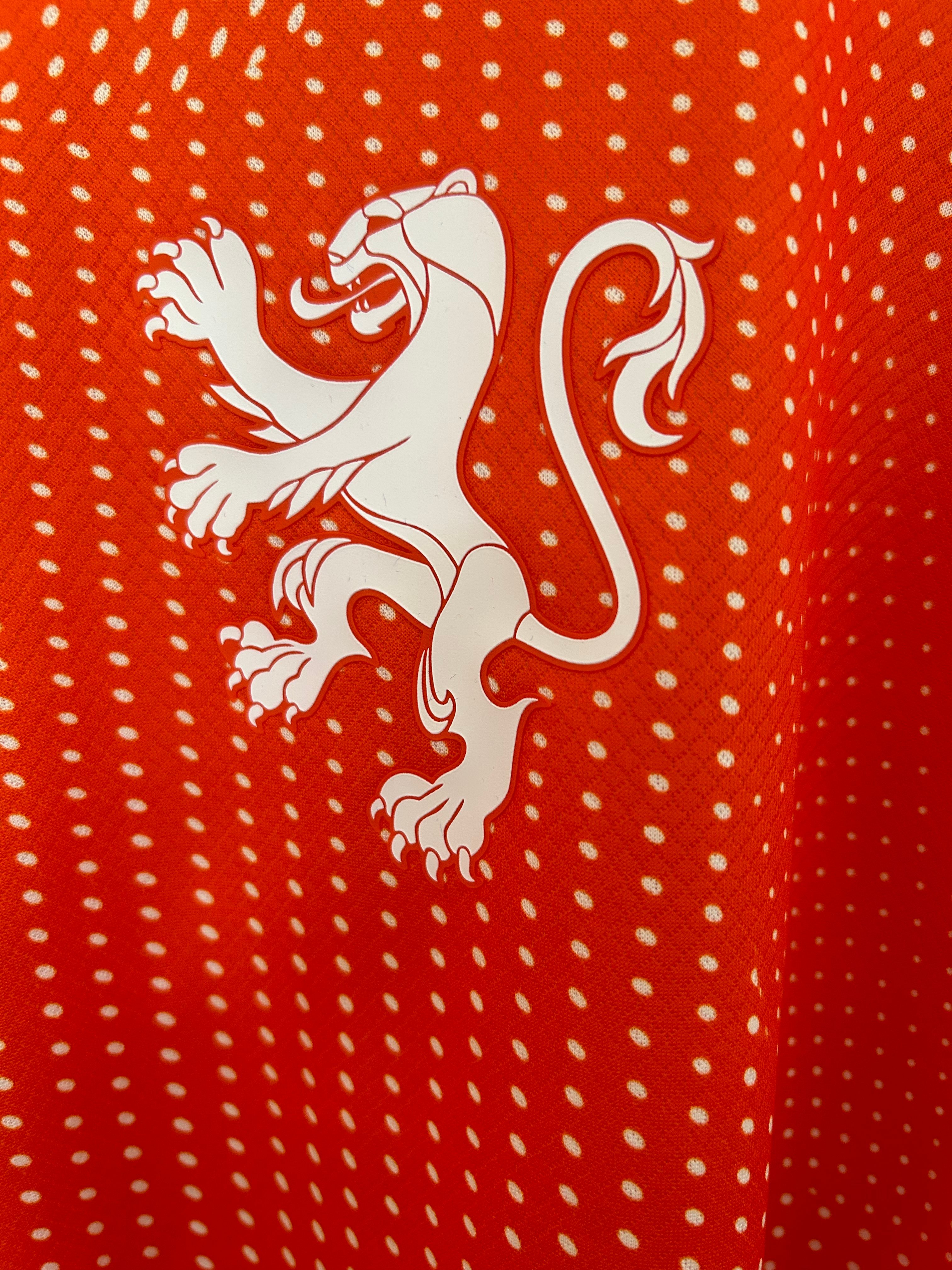 2025/2026 Netherlands Home Football Shirt （Fan Edition）