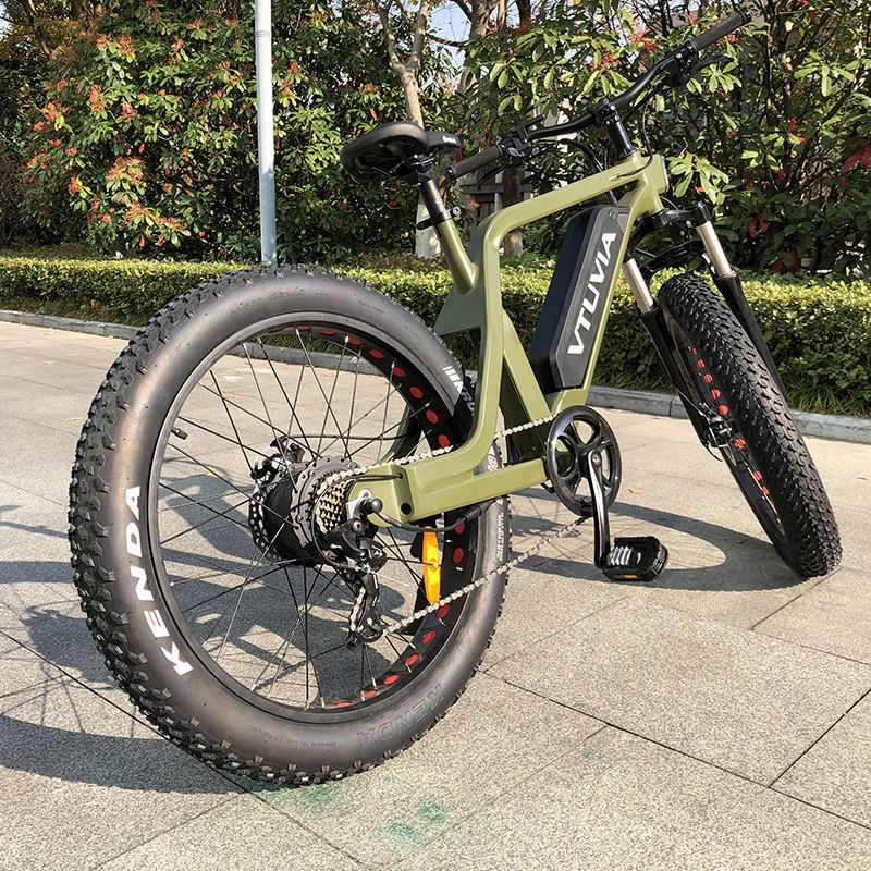 264.0 750W 1000W big power Fat tire electric Mountain E bikeSnow bikeelectric bicycle with CE