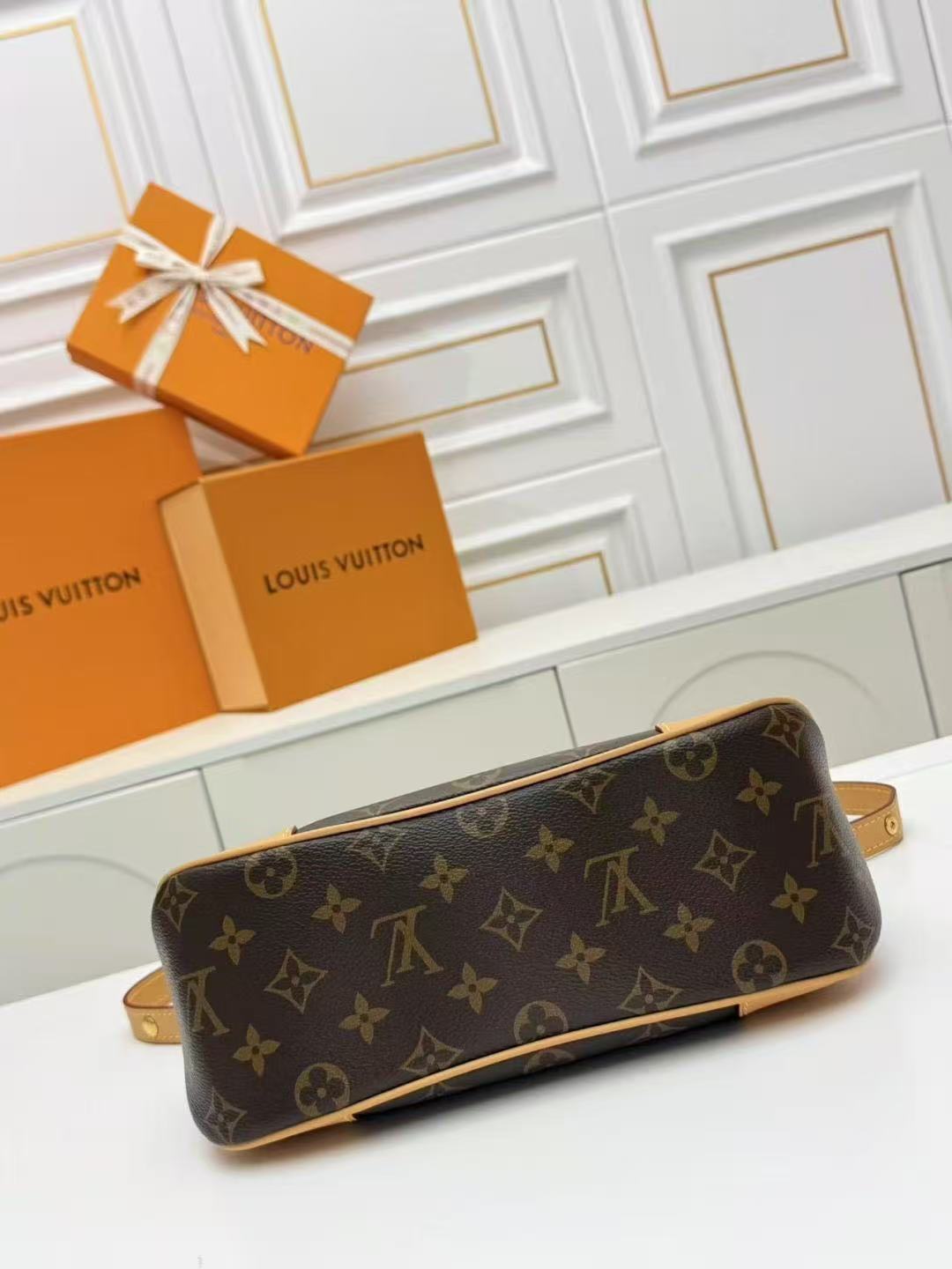Louis Vuitton Odeon Bag