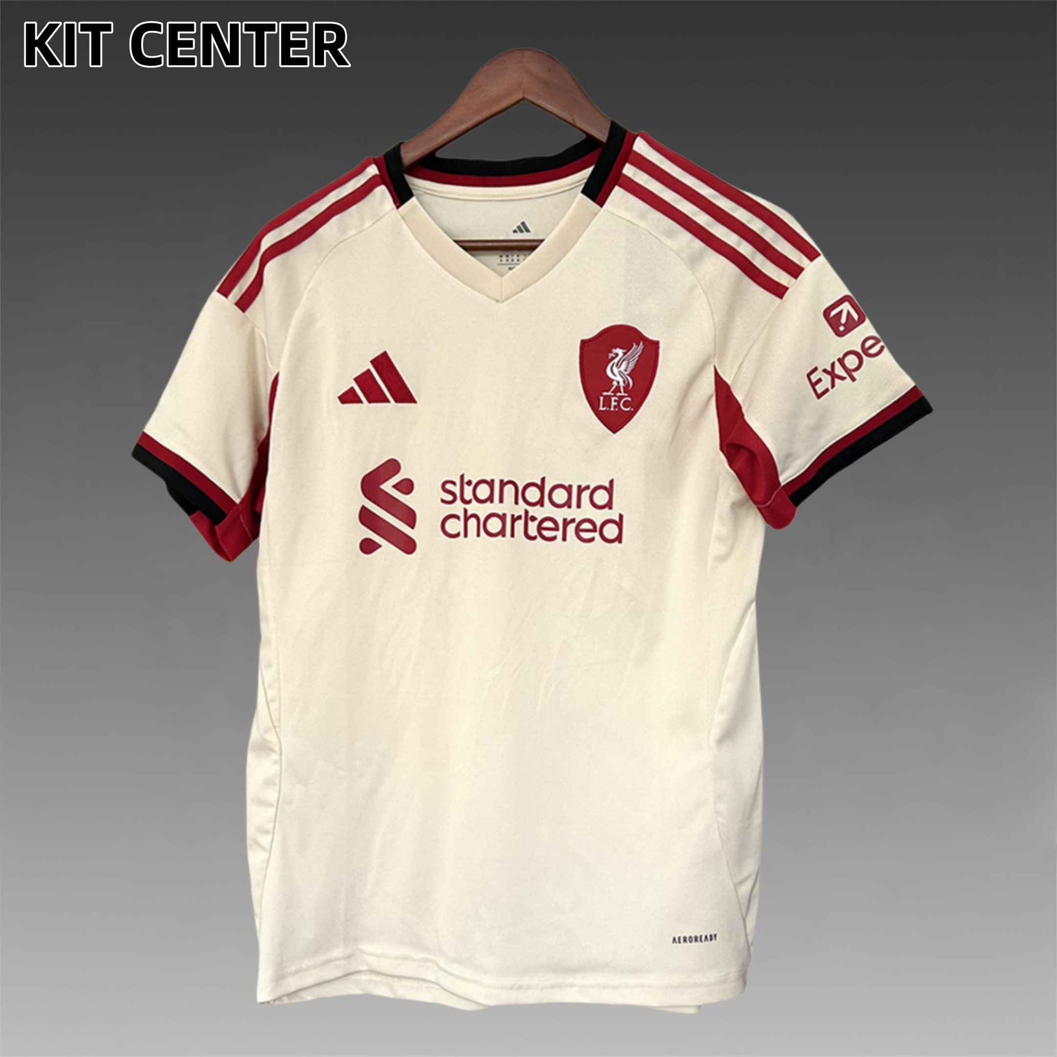2025/2026 Liverpool Away Football Jersey (Fans)