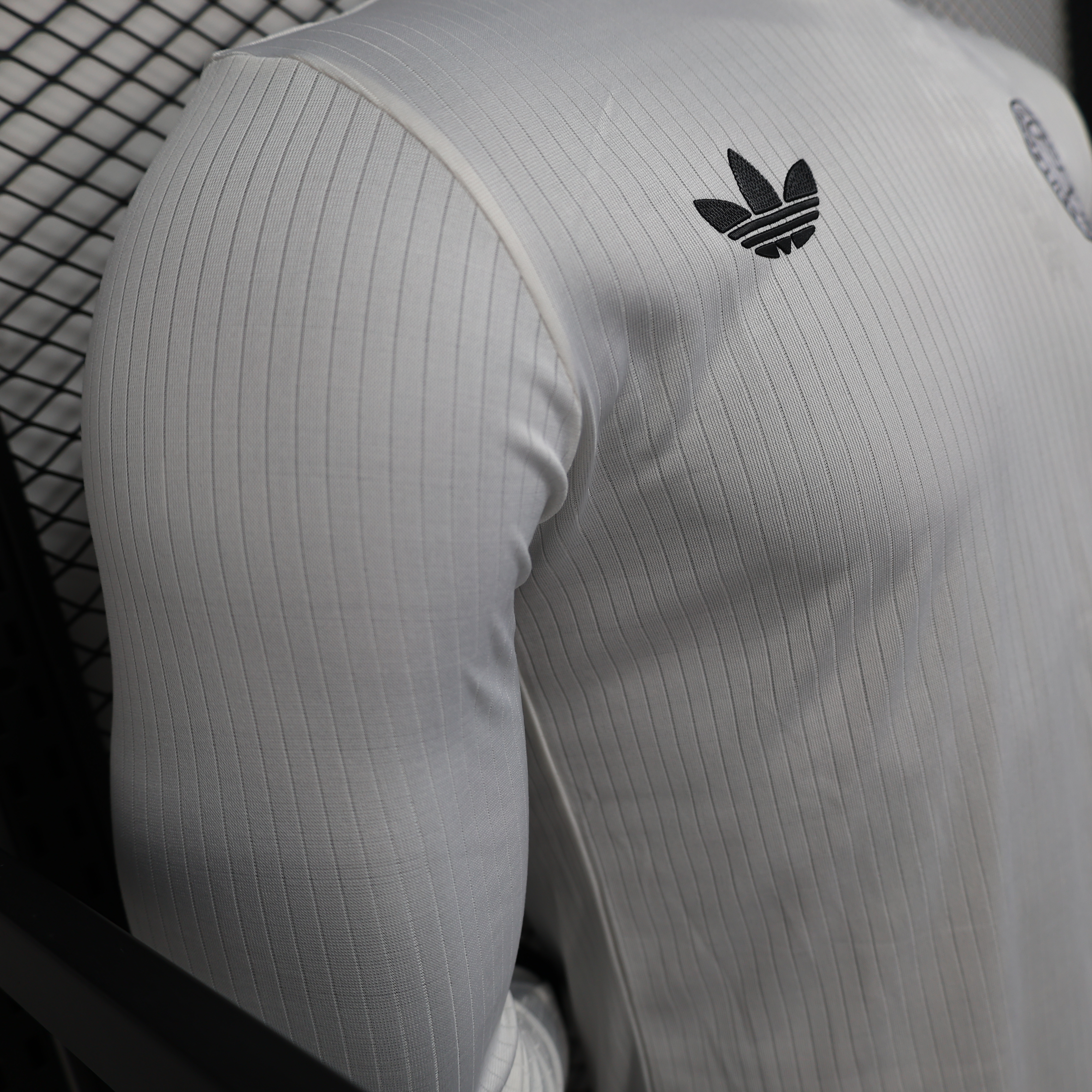 2025/2026 Germany 125th Anniversary Edition Long Sleeve Football Shirt (Player Edition)