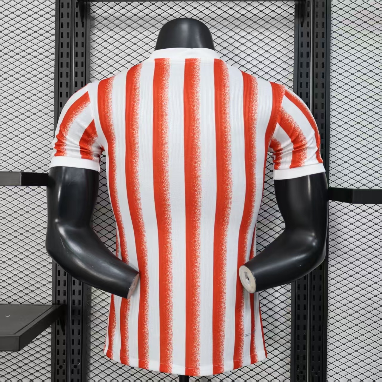 2025/2026 Inter Milan Special Edition Football Shirt ( player)