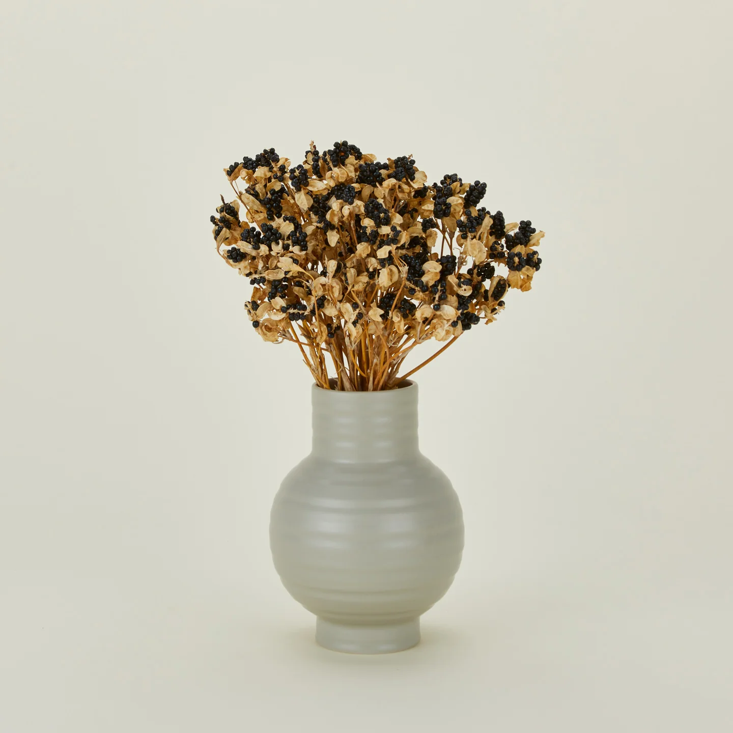 Dried Blackberry Lilies