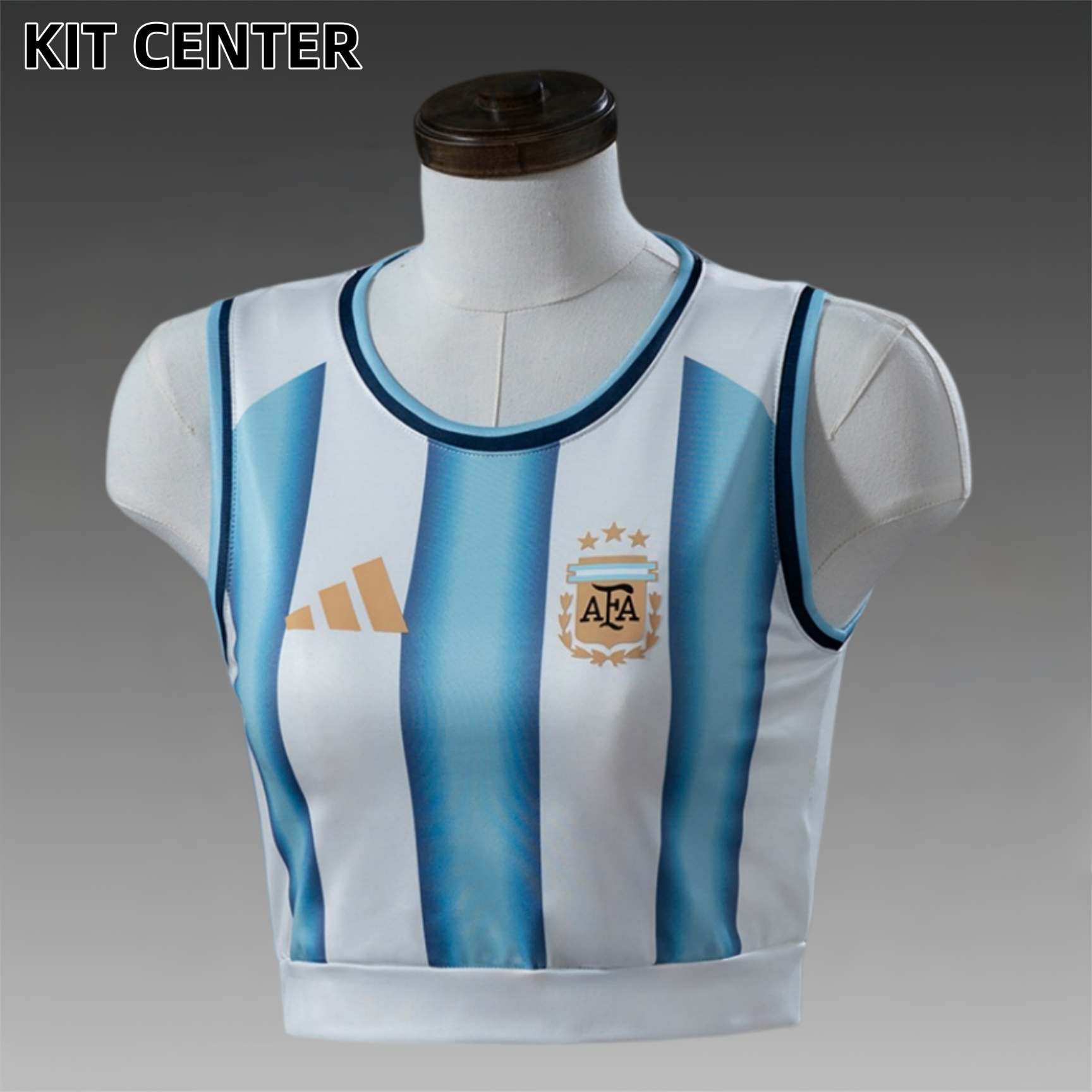 2026 Argentina Home Woman Football Shirt (Fan Edition)