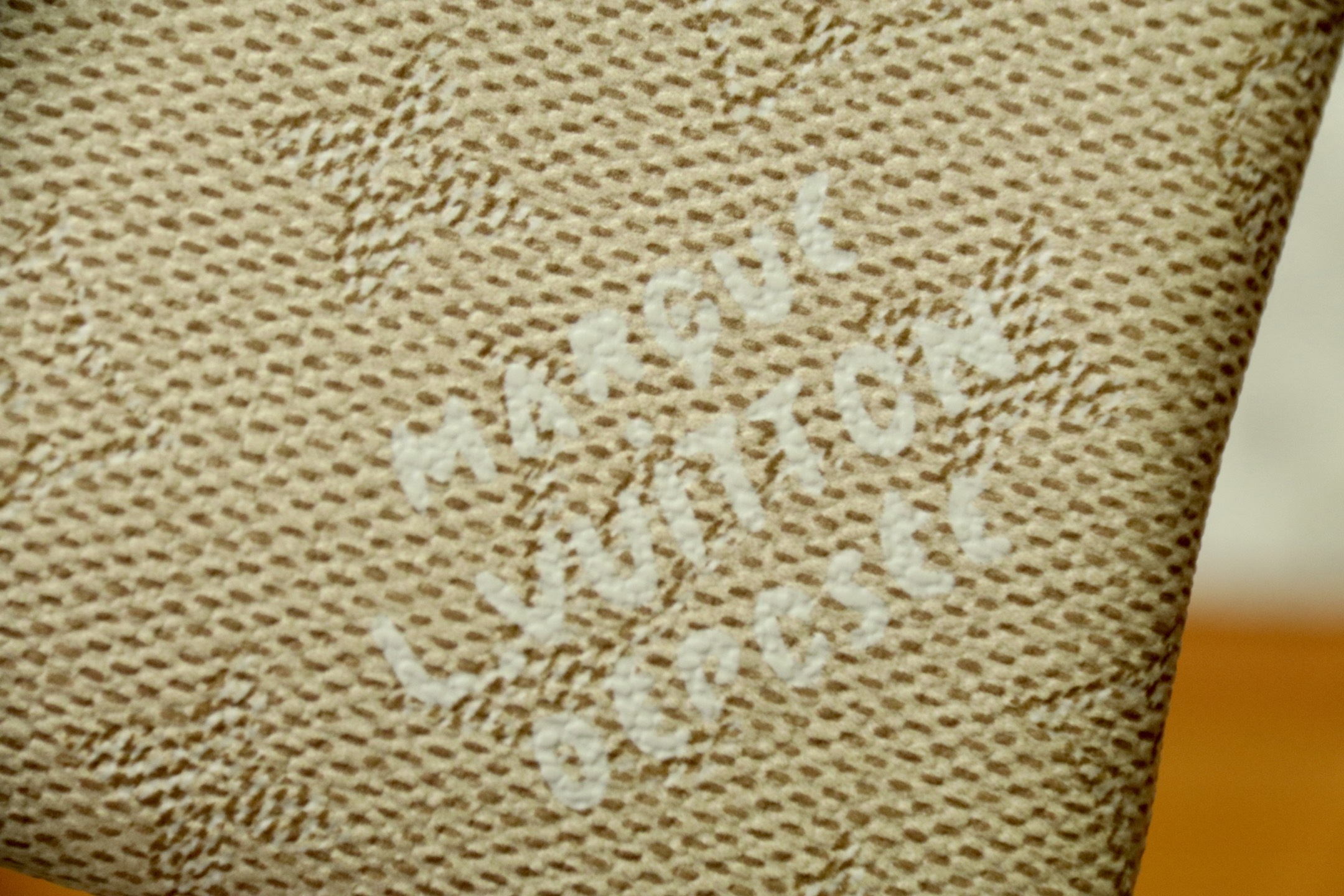 Louis Vuitton Pochette Accessoires Bag