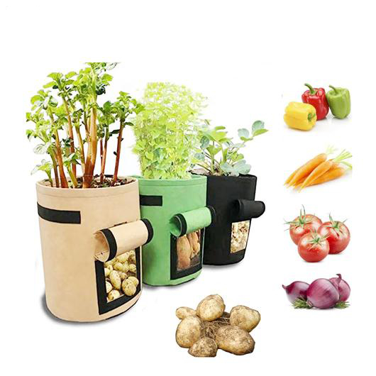 🌹Veggie Grow Bag