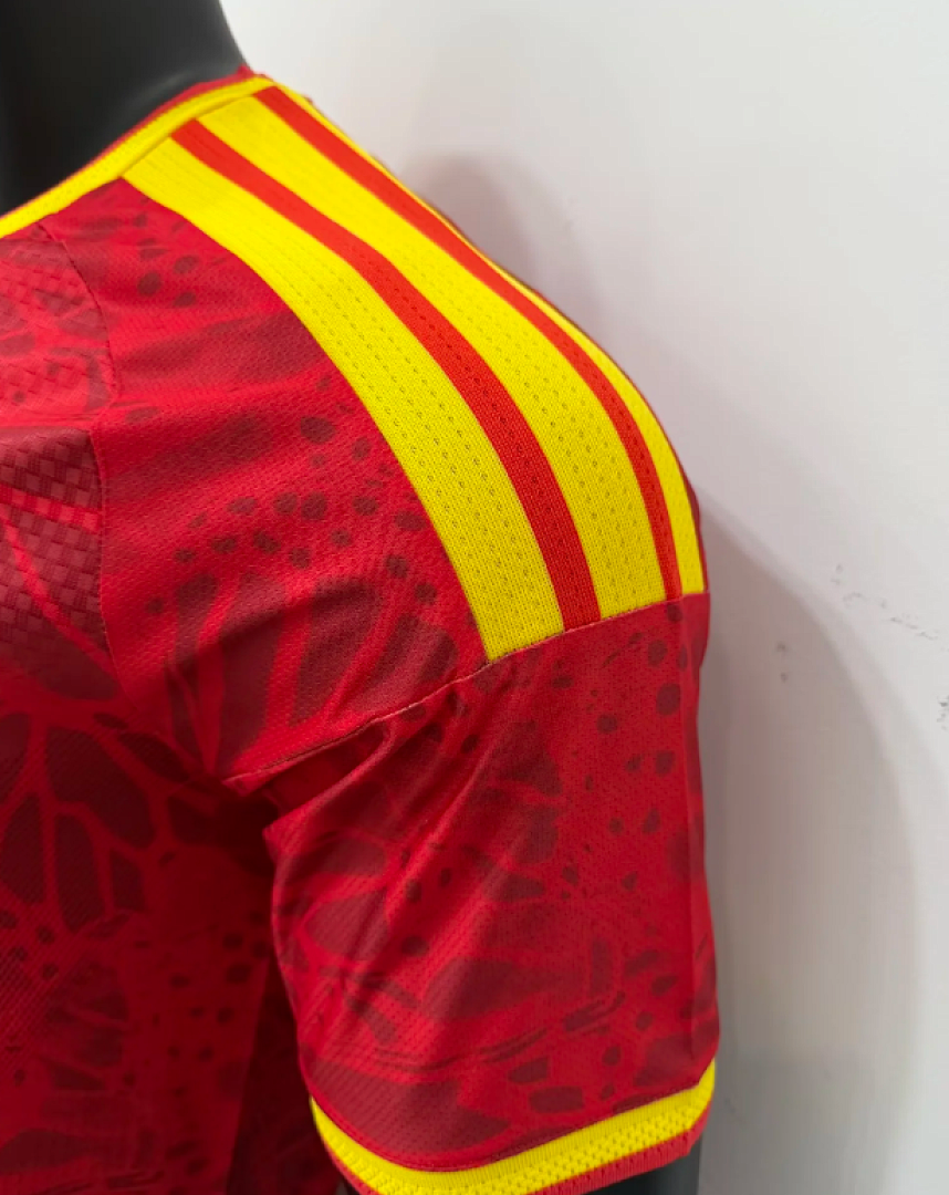 2026 Colombia Special Edition Football Shirt (Players)