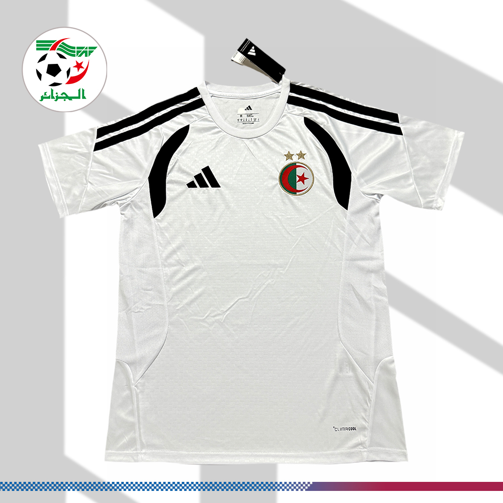 2026 Algeria Pre-match Training Football Shirt (Fans Edition)