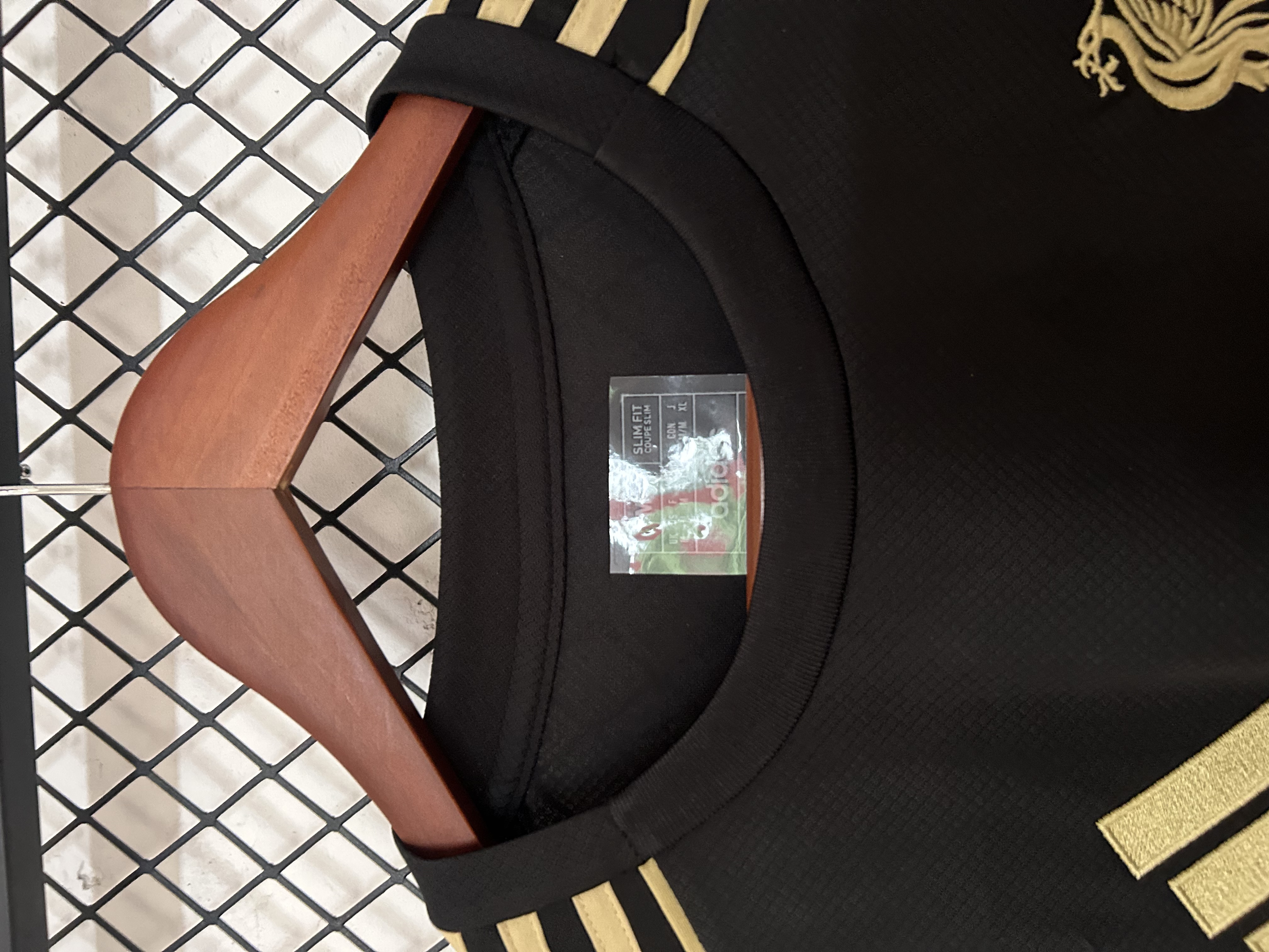 2025/2026 Liverpool FC Black and Gold Jersey (Fans)