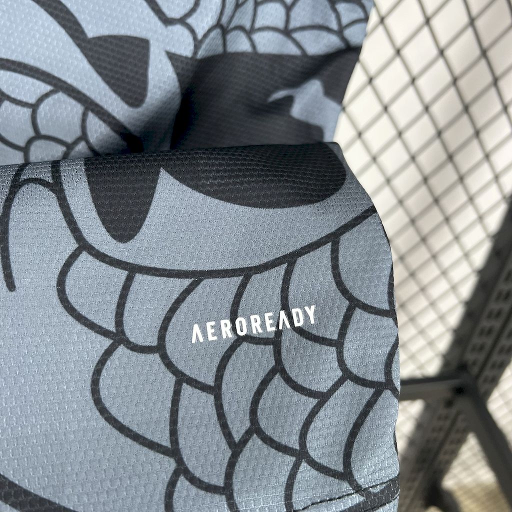 2025/2026 Aston Villa Away Football Shirt （Fans）