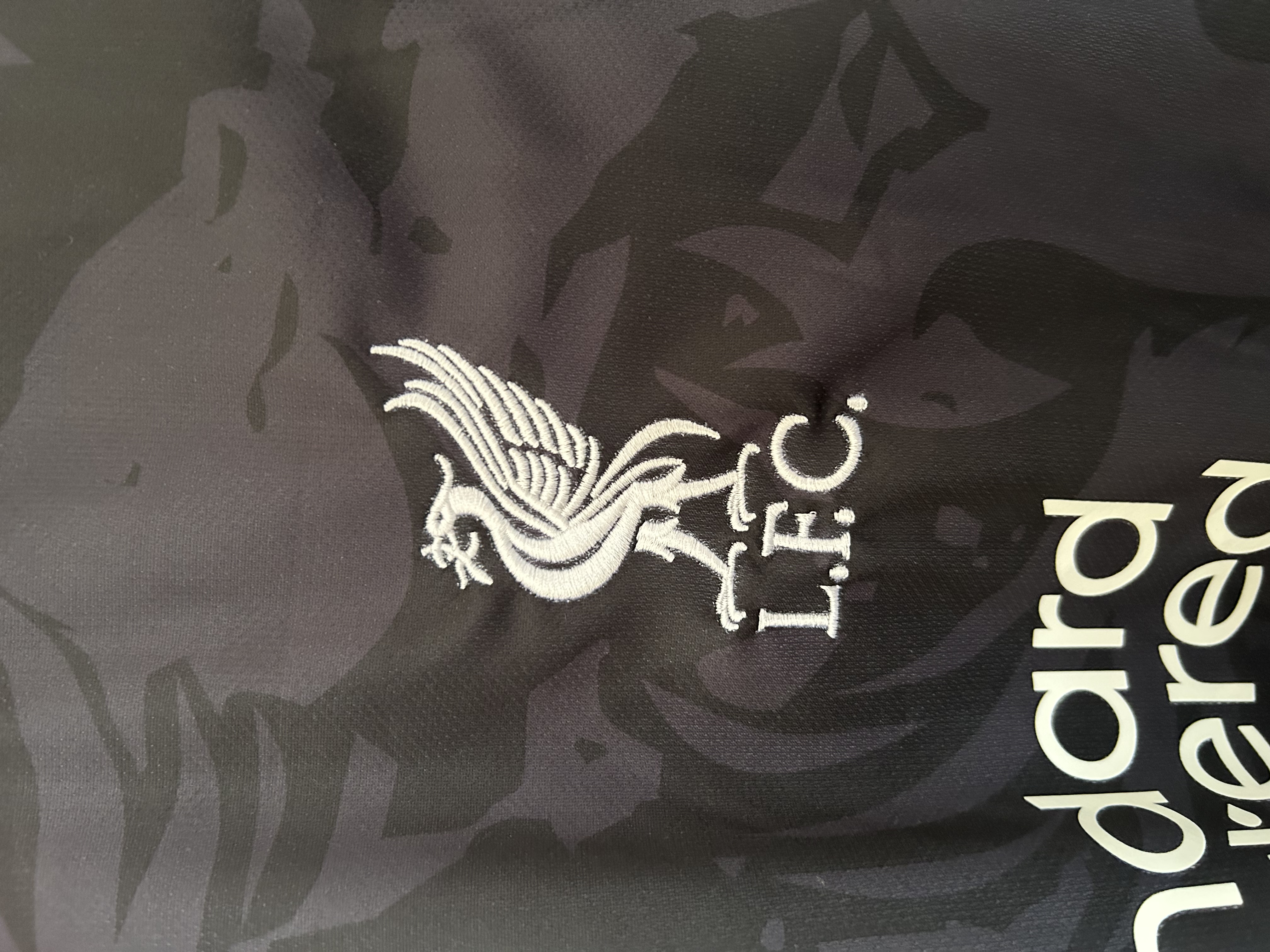 2025/2026 Liverpool Special Football Shirt (Fans)