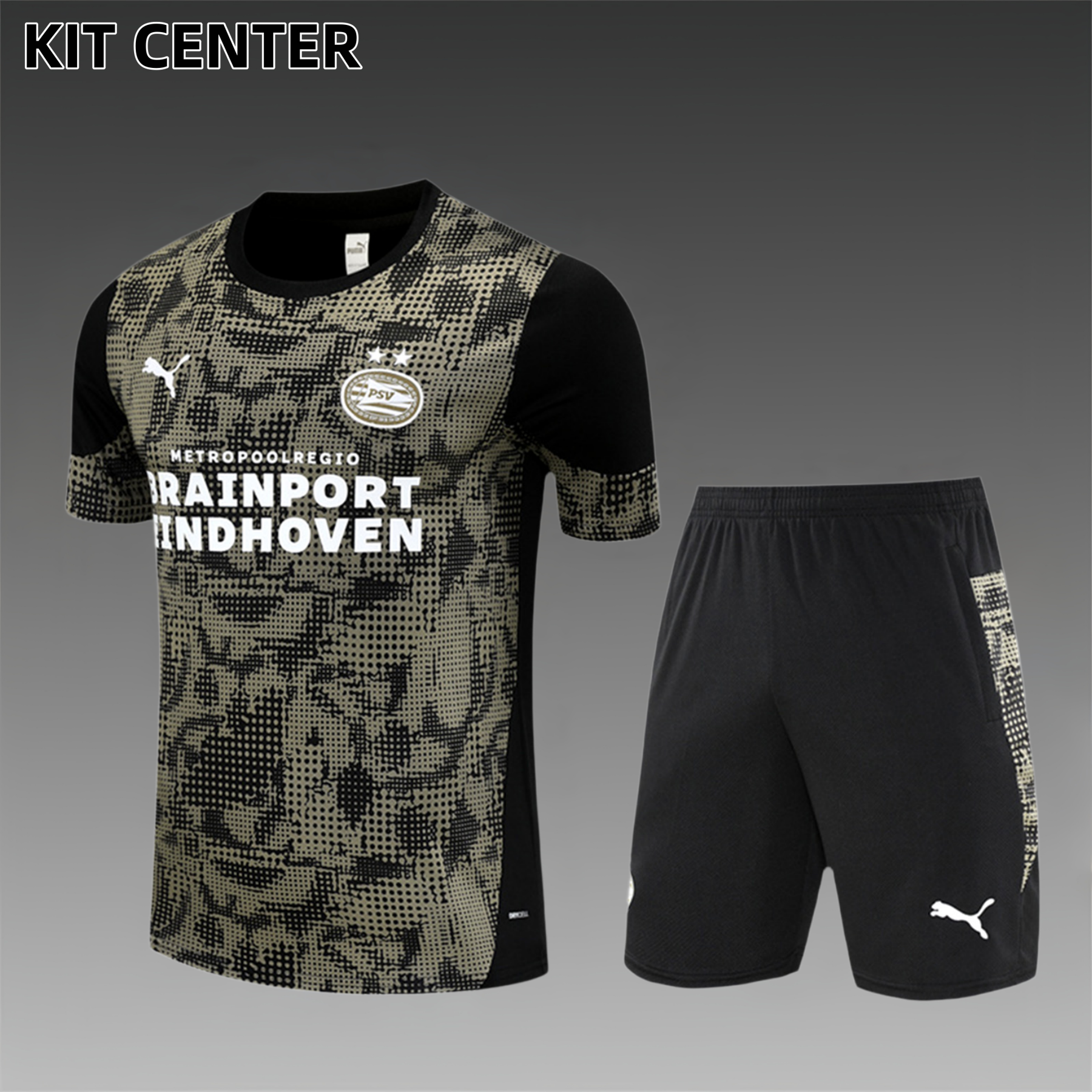 2025/2026 PSV Eindhoven Adult Short Sleeve Training Wear (Adult Kit)