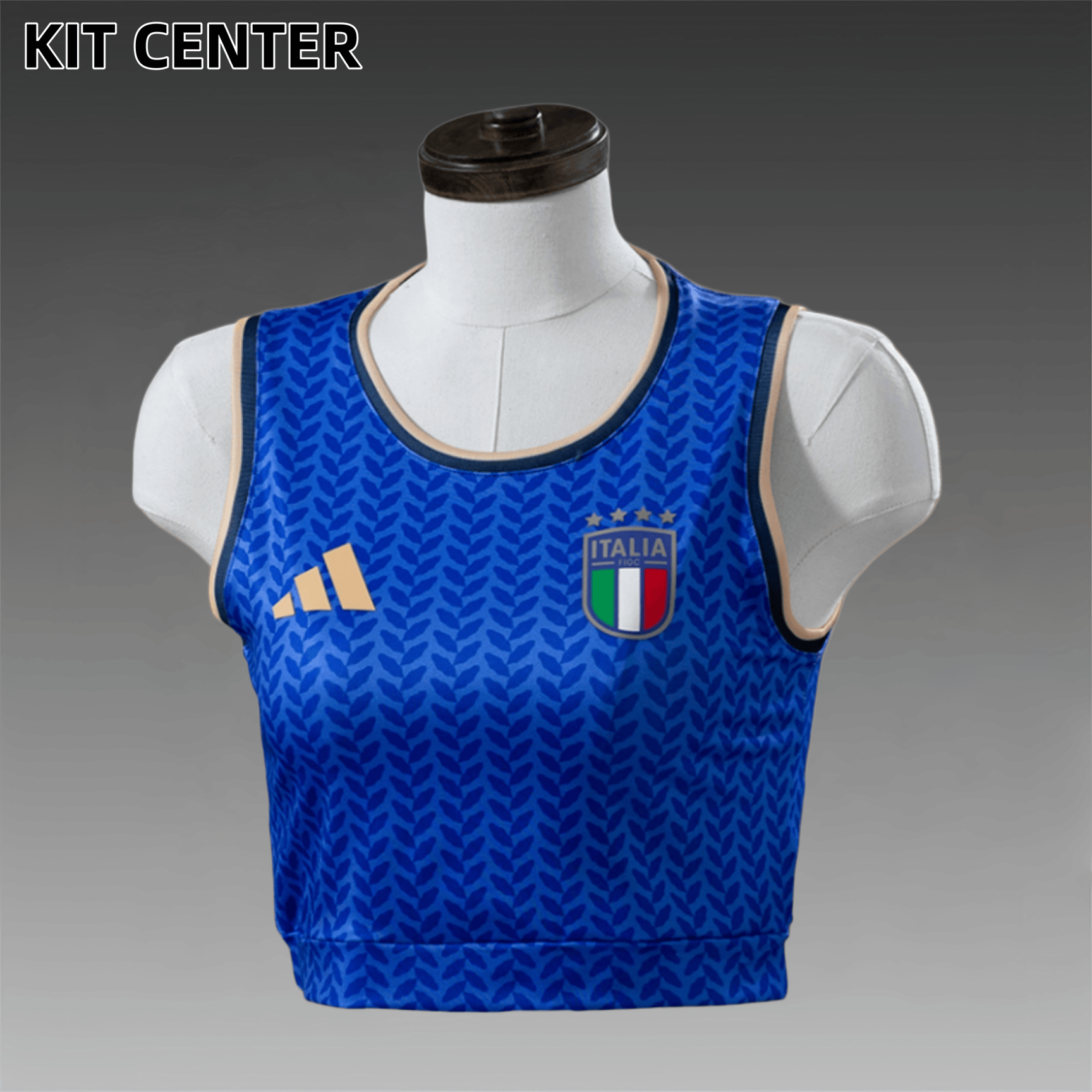 2026 Italy Home Woman Football Shirt (Fan Edition)