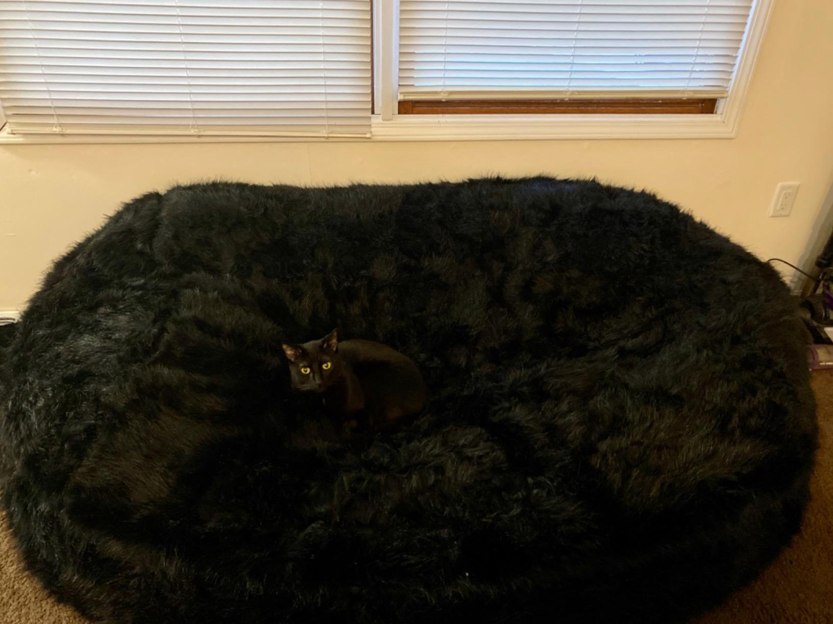 Comfy Sacks Memory Foam Bean Bag Chair