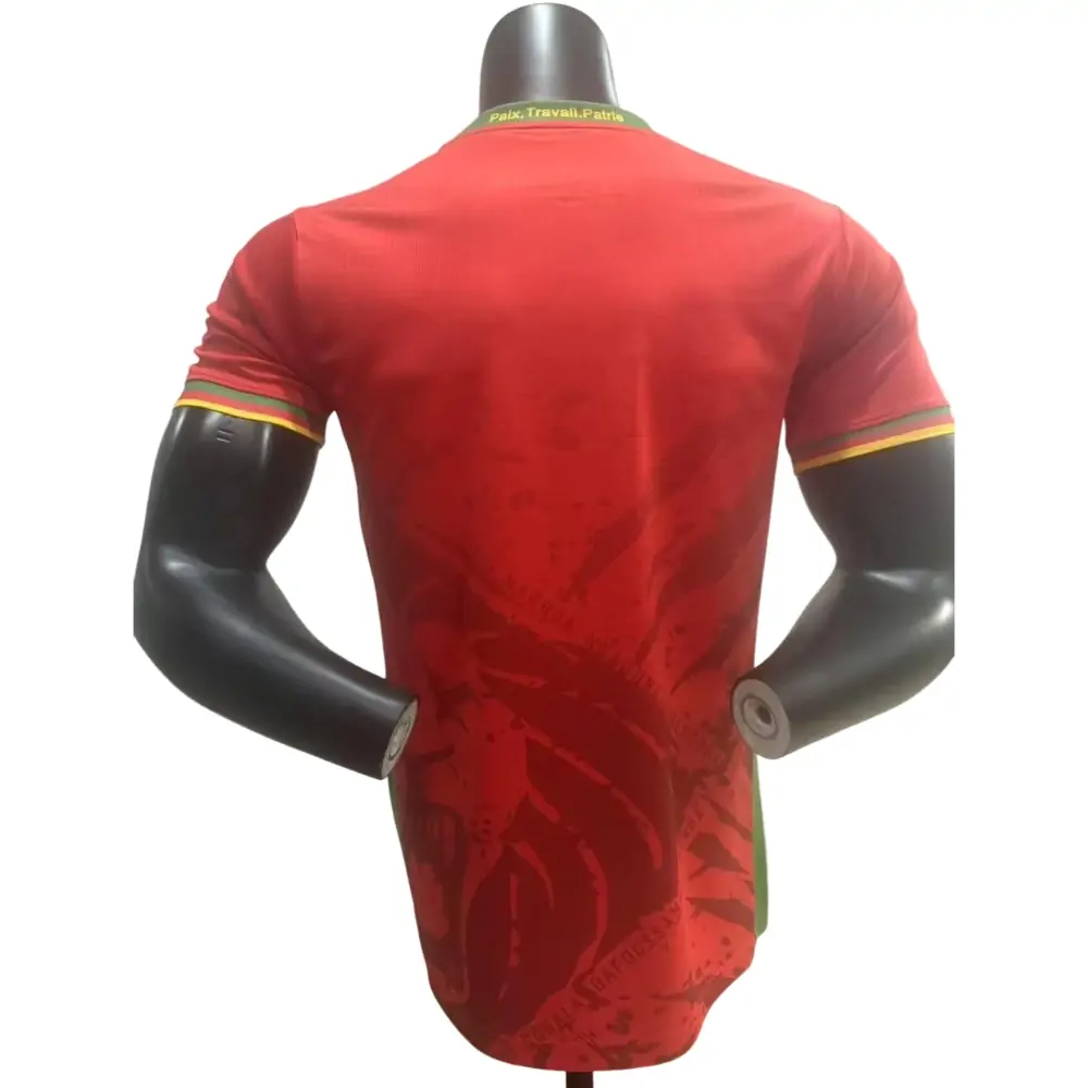{{product_name}} High Quality Replica Football Jersey