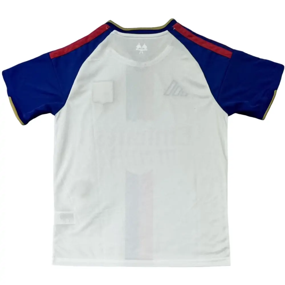 {{product_name}} High Quality Replica Football Jersey