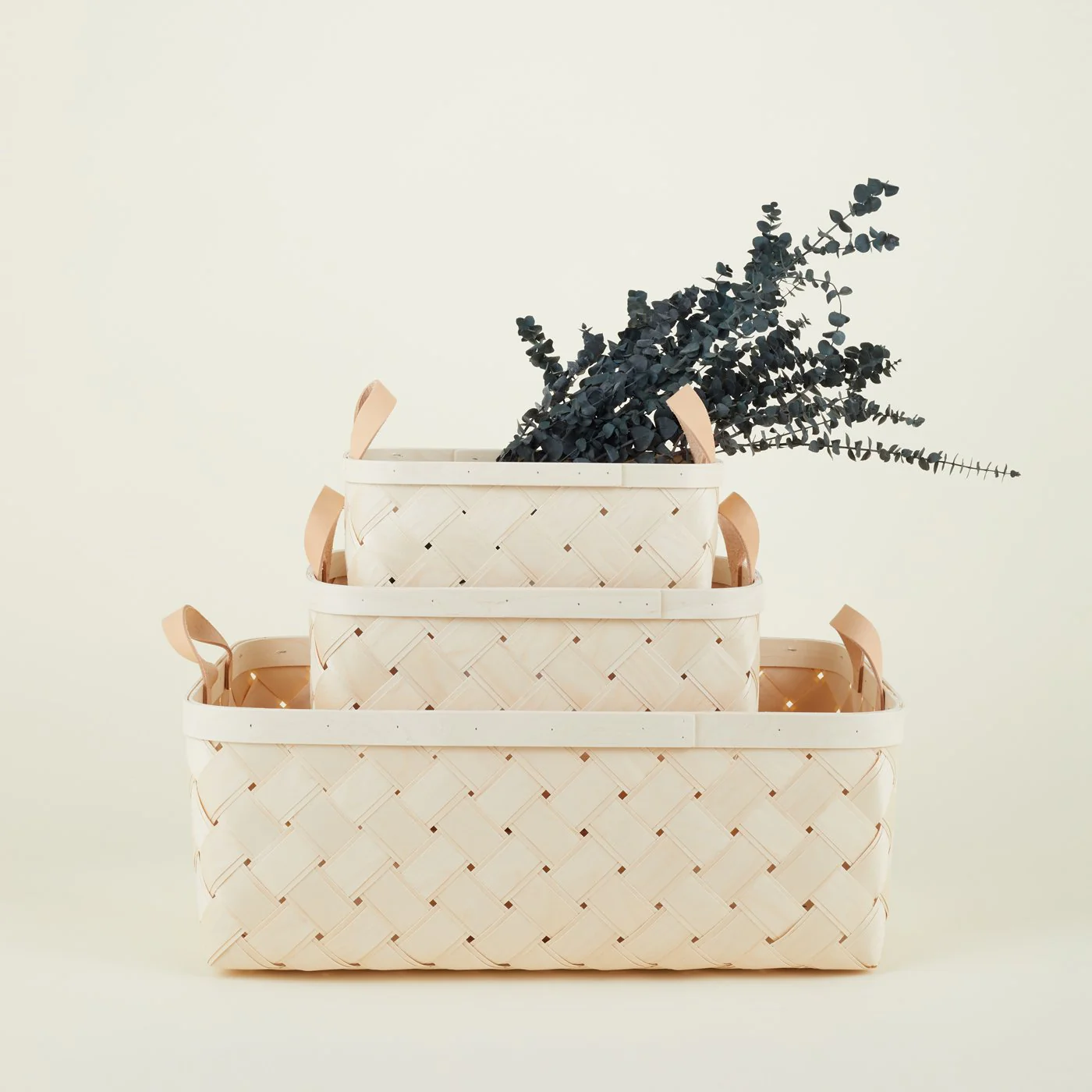 Birch + Leather Basket