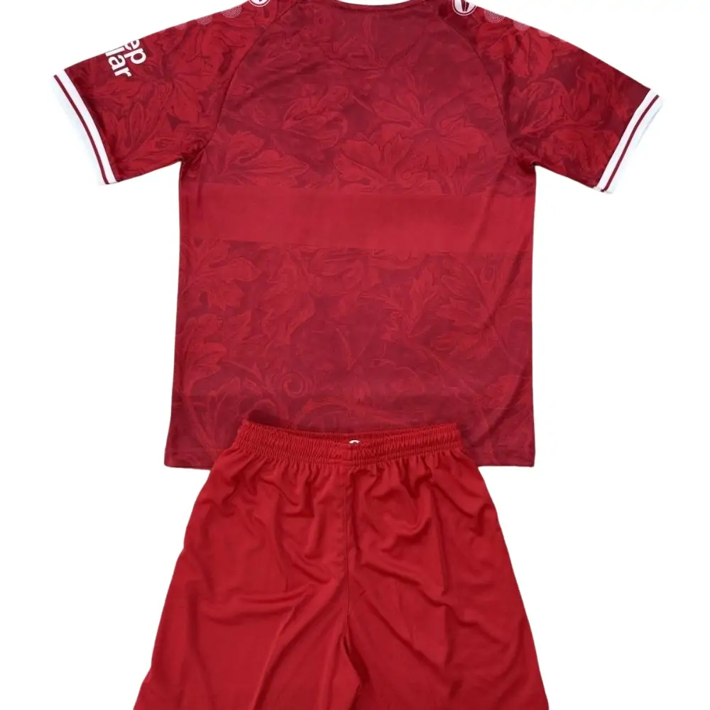 {{product_name}} High Quality Replica Football Jersey