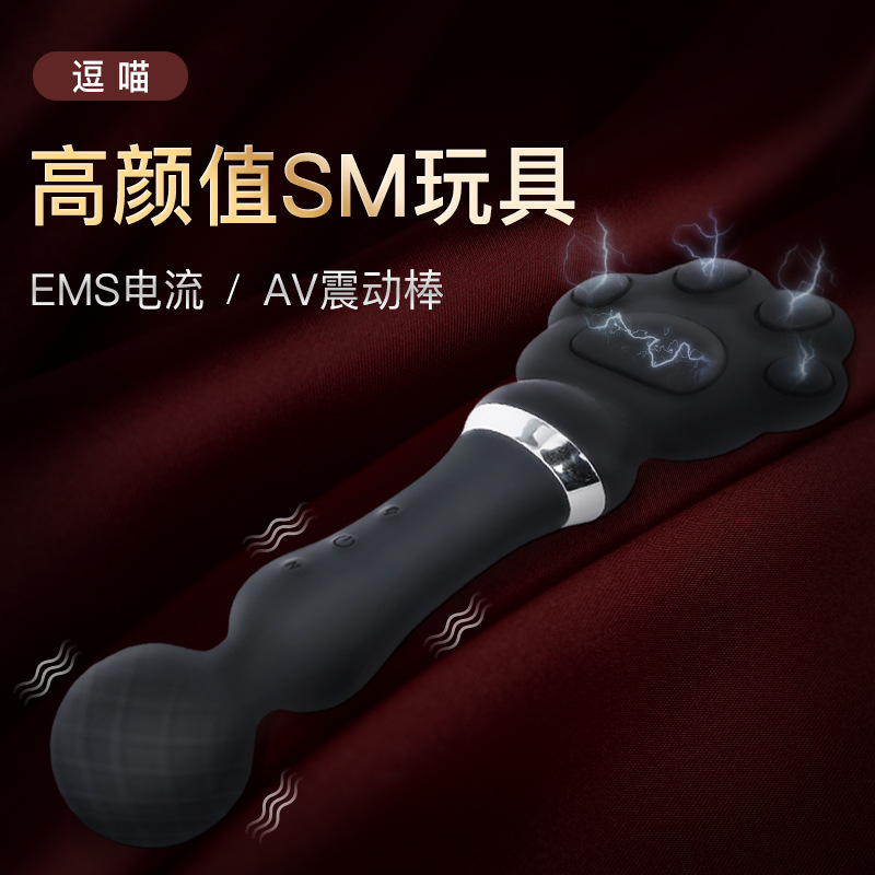 逗喵