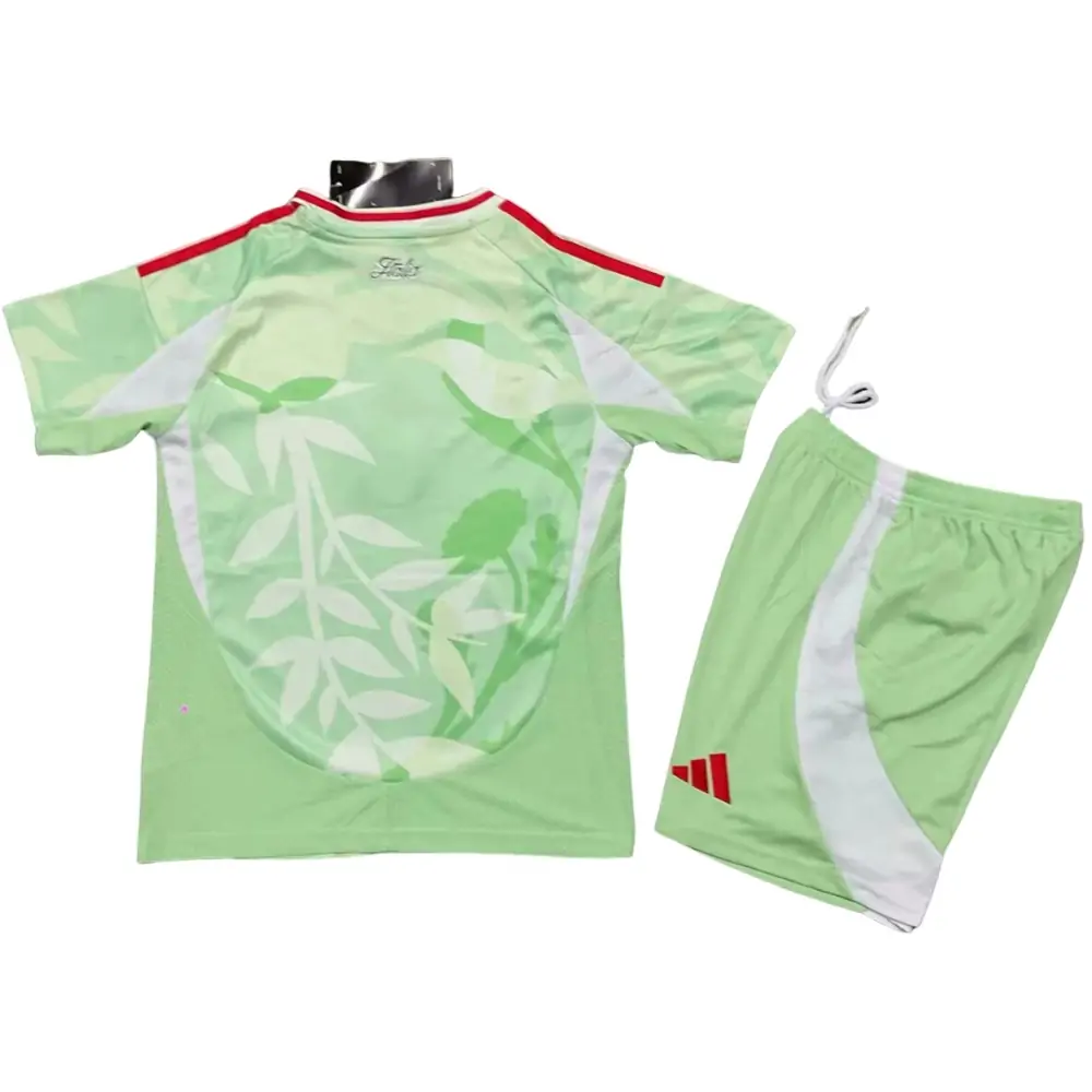 {{product_name}} High Quality Replica Football Jersey