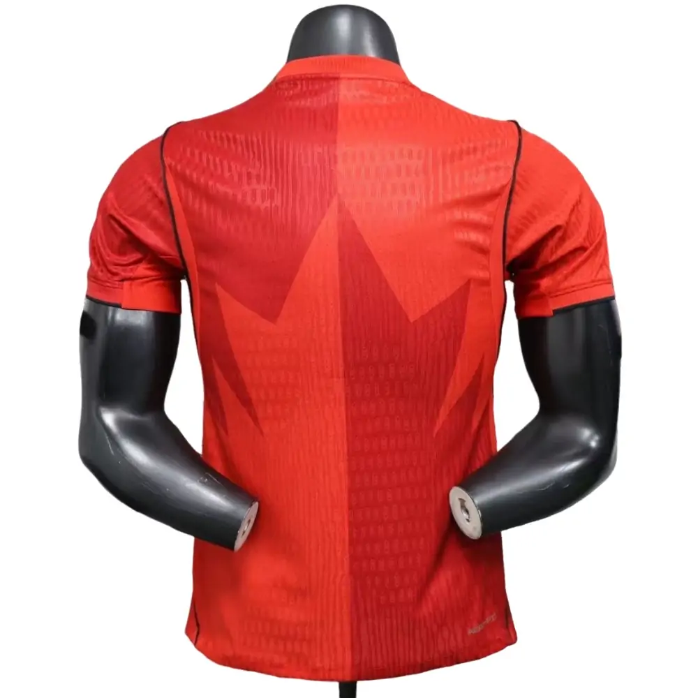 {{product_name}} High Quality Replica Football Jersey