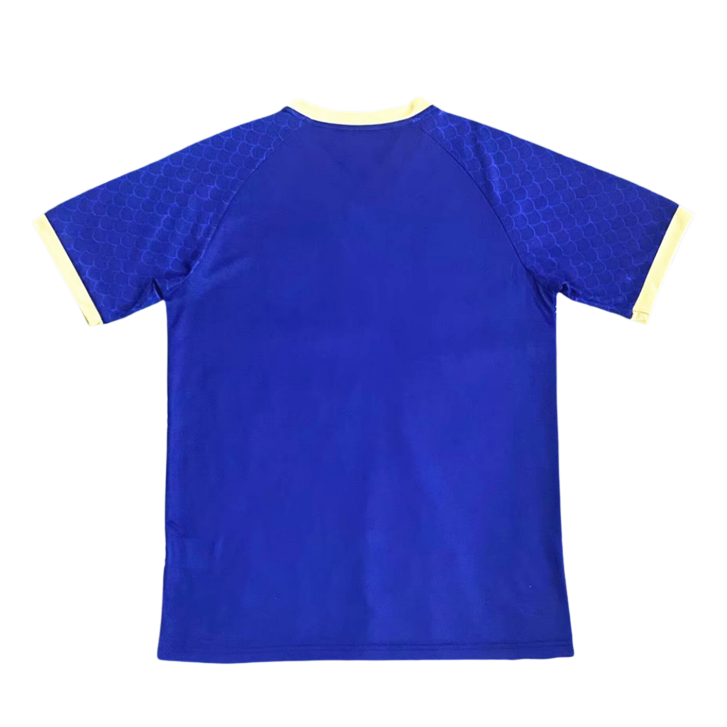 2024/2025 Japan Dragon Edition Football Shirt (Player Edition)