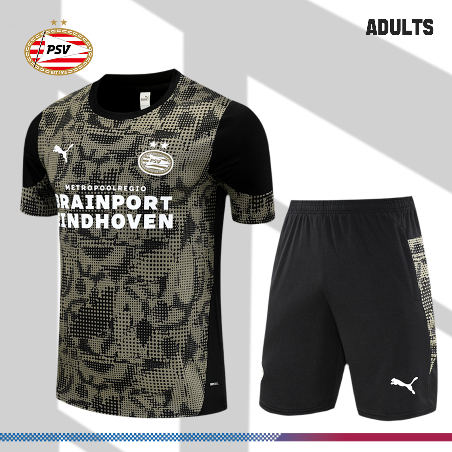 2025/2026 PSV Eindhoven Adult Short Sleeve Training Wear (Adult Kit)