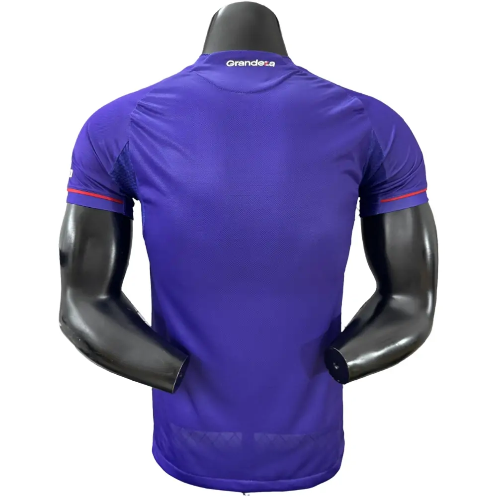 {{product_name}} High Quality Replica Football Jersey