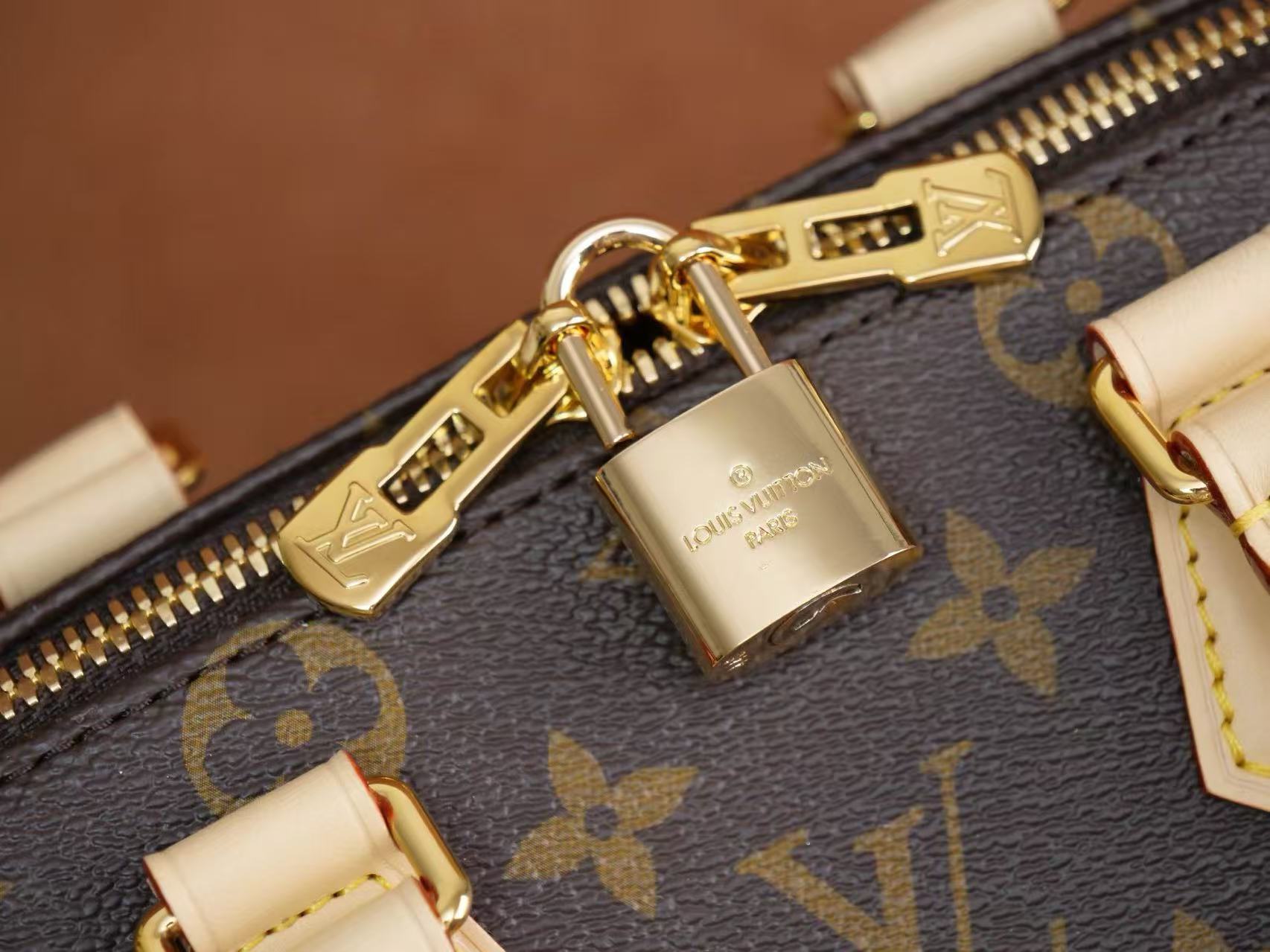 Louis Vuitton Speedy 20 Bag