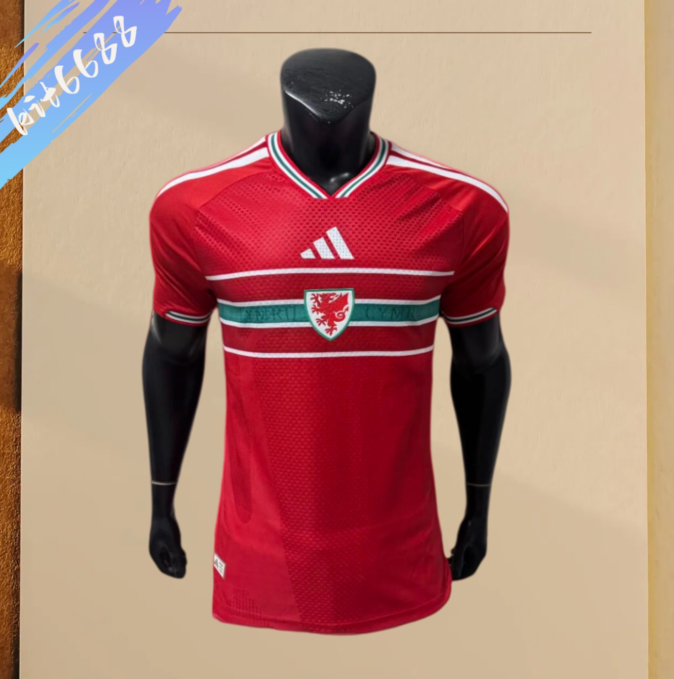 2026 Wales home  Football Shirt (Player version)