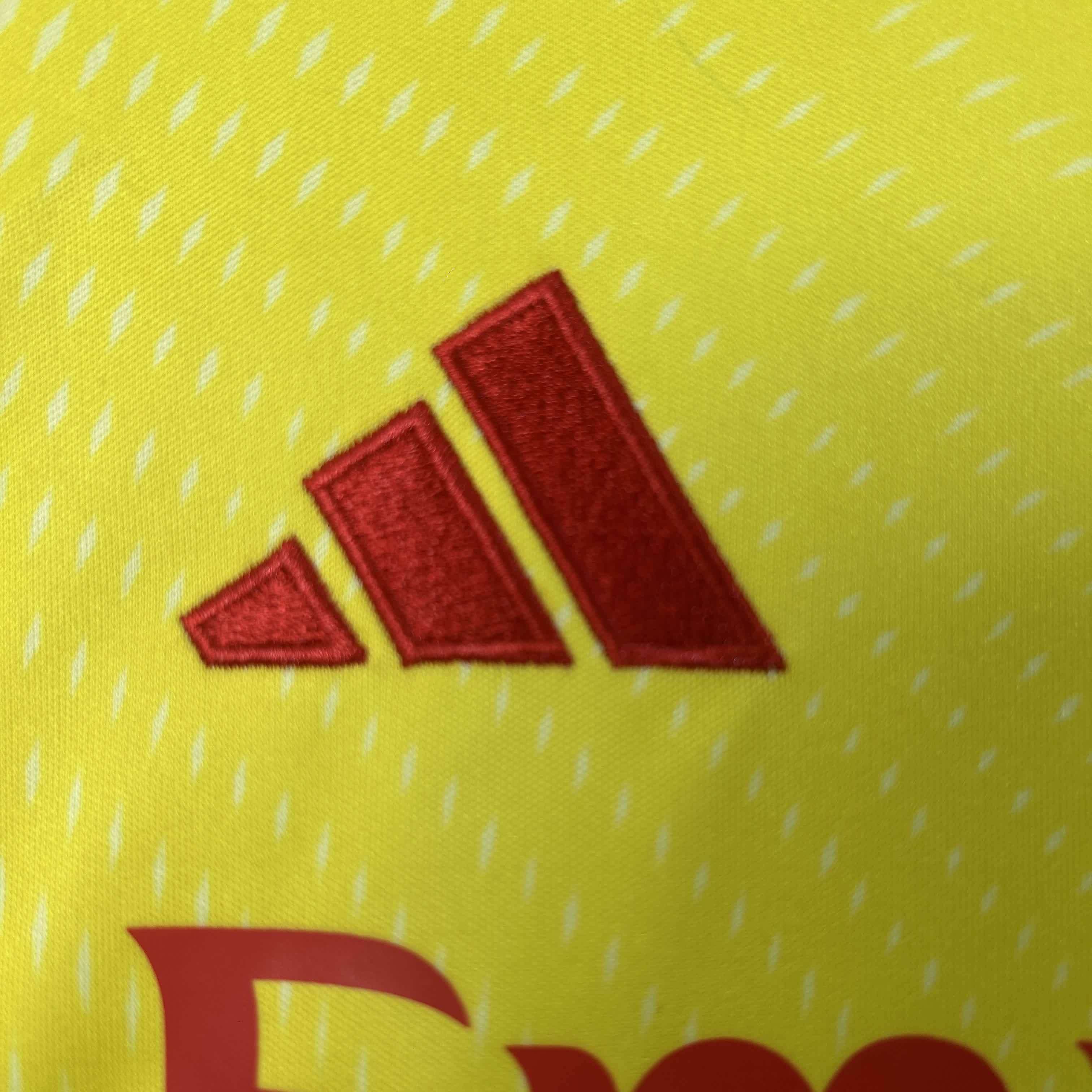 2025/2026 Benfica goalkeeper Football Shirt（Kids Kit socks）