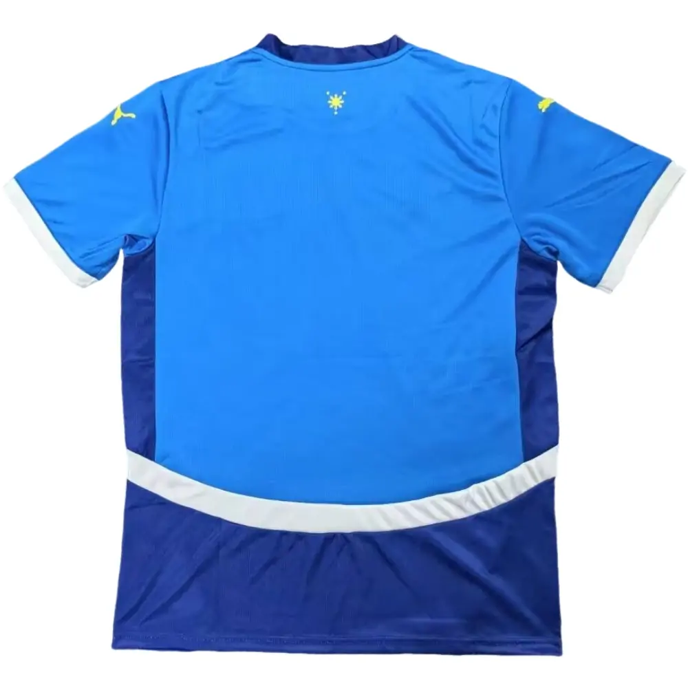 {{product_name}} High Quality Replica Football Jersey