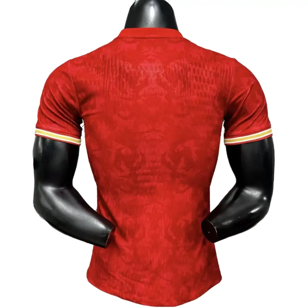 {{product_name}} High Quality Replica Football Jersey