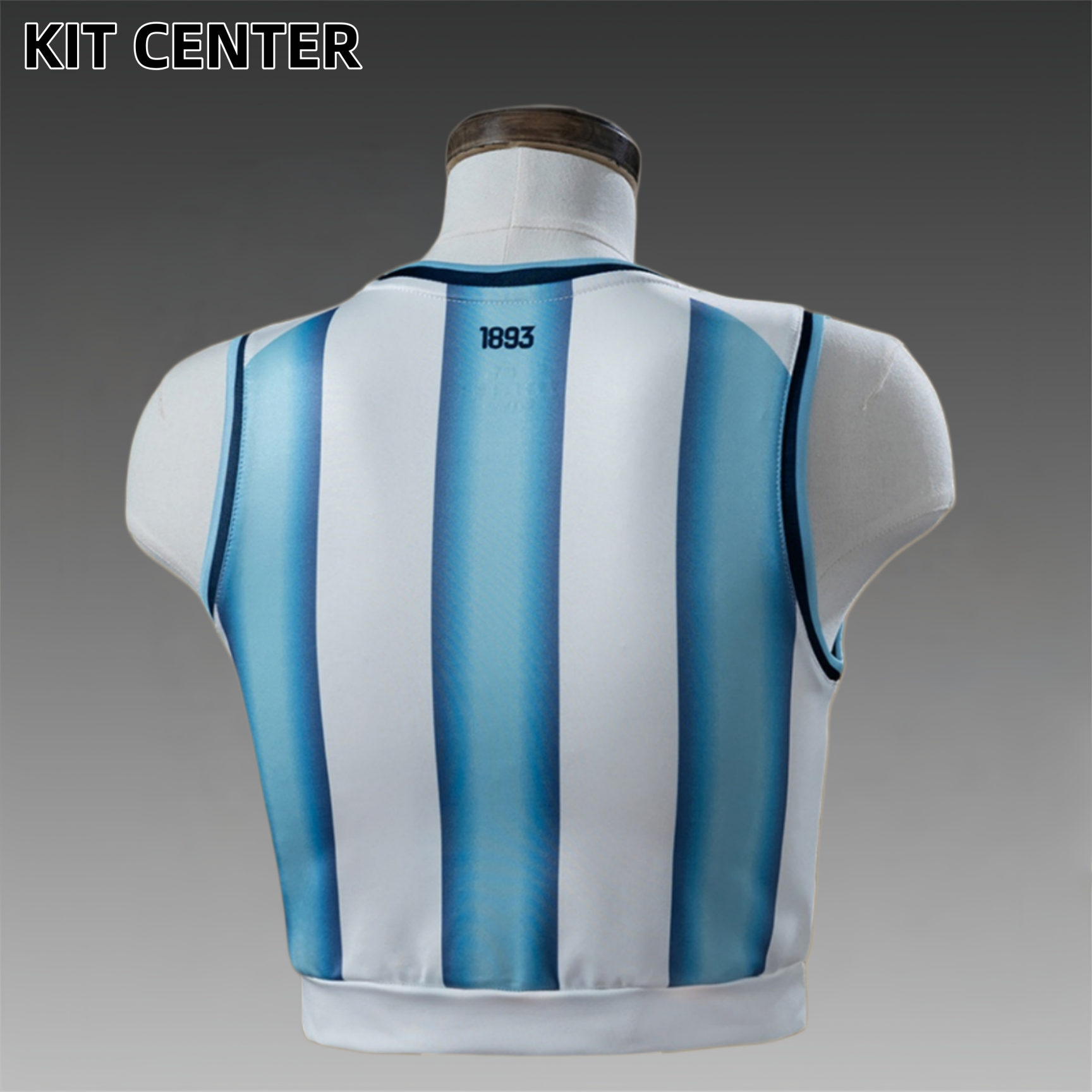 2026 Argentina Home Woman Football Shirt (Fan Edition)