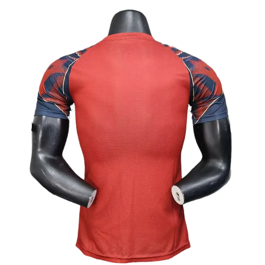{{product_name}} High Quality Replica Football Jersey