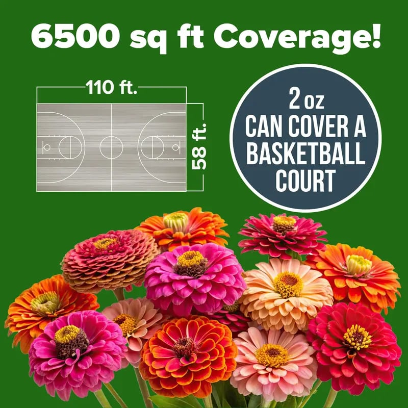⚡50K+ SOLD!💖Zinnia Seeds - Pure Seeds - No Filler - USA Heirloom Flower Seeds