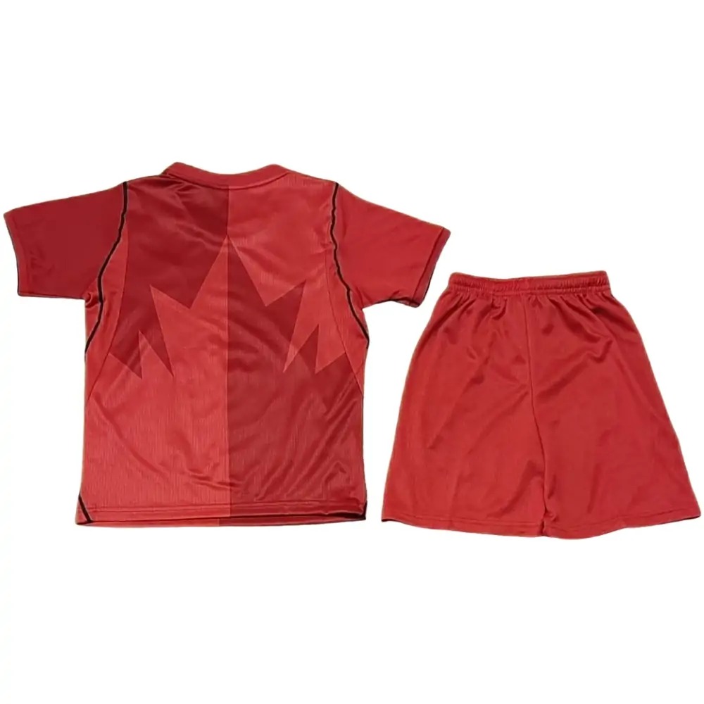 {{product_name}} High Quality Replica Football Jersey