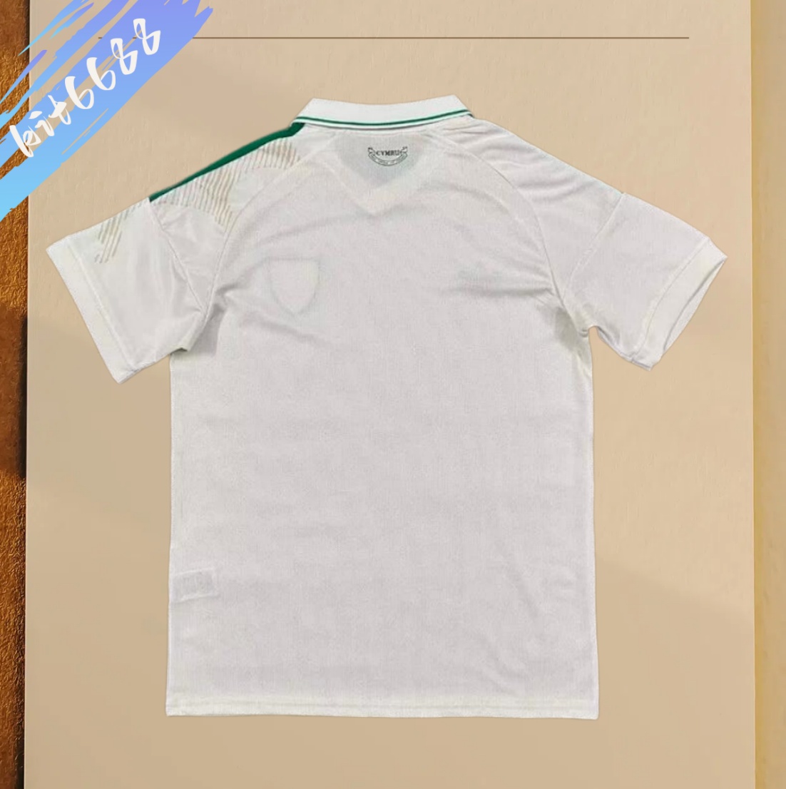 2026 Wales home Football Shirt (Fans version)