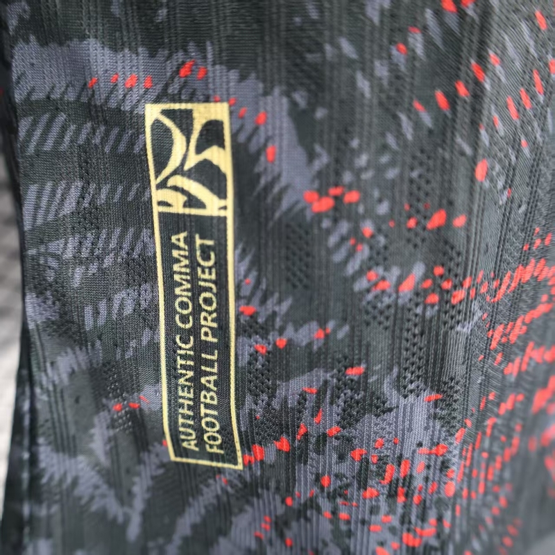 2025/2026 Paris Saint-Germain Special Edition European Cup Champions Jersey (Player Edition)