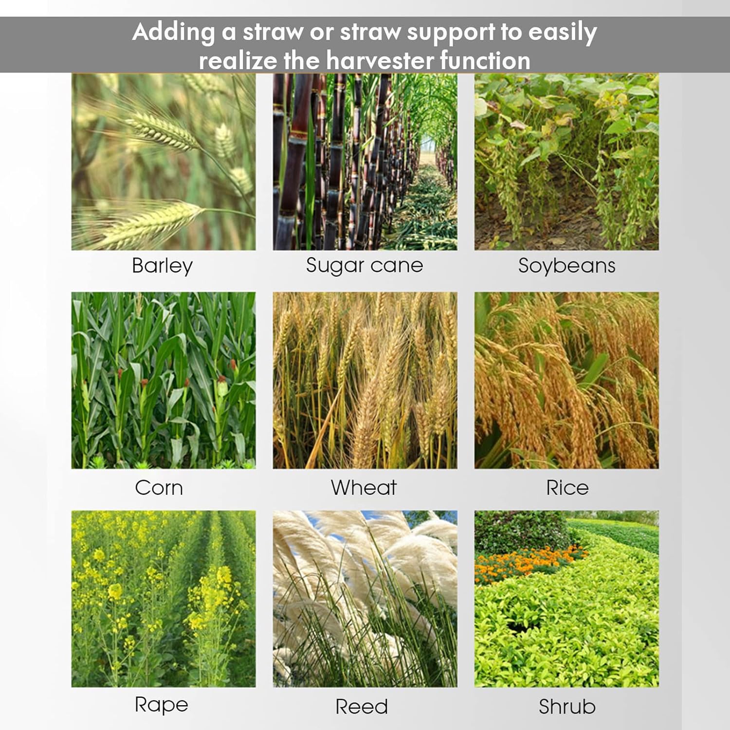 5 in 1 52cc 2-Stroke Gas Grass Trimmer Chainsaw